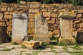 Remains of Roman city of Chellah necropolis. Rabat. Morocco. Royalty Free Stock Photo