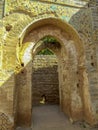 Remains of Roman city of Chellah necropolis. Rabat. Morocco. Royalty Free Stock Photo