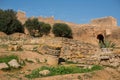 Remains of Roman city of Chellah necropolis. Rabat. Morocco. Royalty Free Stock Photo