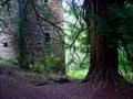 Roslyn Castle Royalty Free Stock Photo