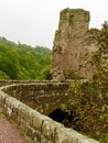 Roslyn Castle Royalty Free Stock Photo