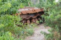 Remains of Russian infantry fighting vehicle, invasion of Ukraine, 2022