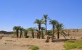 Remains of sacred lake at egyptian temple