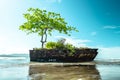 Remains of a ship