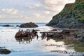 Remains of Shipwreck at Menabilly Royalty Free Stock Photo