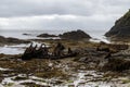 Remains of shipwreck at Menabilly Royalty Free Stock Photo