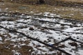 Remains of snow on a flowerbed with an artificial automatic irrigation system in early spring Royalty Free Stock Photo