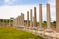 Remains of stone columns of Agora in ancient settlement of Perga, Turkey