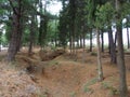 Remains of Trenches of Gallipoli