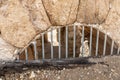 Remains of a tunnel under the podium at the ruins of the Beit Guvrin amphitheater, near Kiryat Gat, Israel