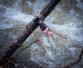 Remains of vintage doll in the river
