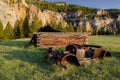 Remains of a vintage truck in a grassy field in front of a towering mountain range Royalty Free Stock Photo