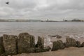 Remains of wooden fortifications on a beach Royalty Free Stock Photo