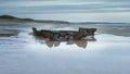 The remains of the wreck of the Hanseat, on Warkworth Beach on the coast of Northumberland.