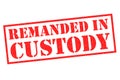 REMANDED IN CUSTODY Rubber Stamp