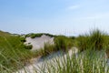 Remarcable dunes of Amrum (Oomram) in Northern Germany at the Northern See Royalty Free Stock Photo