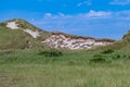 Remarcable dunes of Amrum (Oomram) in Northern Germany at the Northern See Royalty Free Stock Photo