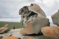 Remarkable Rocks Australia Royalty Free Stock Photo