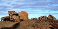 Remarkable Rocks, Kangaroo Island