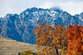 The Remarkables, Lake Wakatipu Royalty Free Stock Photo