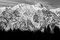 The Remarkables Mountain Range with trees silhouette in black and white in  Queenstown New Zealand Royalty Free Stock Photo