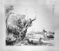 Rembrandt Van Rijn prints, Sketched Landscape