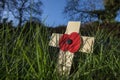 Remember the Fallen Heroes - Poppy Day Royalty Free Stock Photo