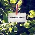 Remember to live inspirational message written on a card