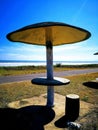 Giant Mushroom at the Pimping Beach Royalty Free Stock Photo