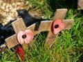 Rememberance Crosses Royalty Free Stock Photo