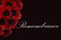 Remembrance Royalty Free Stock Photo