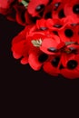 Remembrance Royalty Free Stock Photo