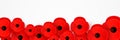 Remembrance, Anzac Day web header. Poppies flowers. Memorial banner, card.