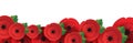 Remembrance, Anzac Day web header. Poppies flowers. Memorial banner, card.