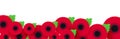 Remembrance, Anzac Day web header. Poppies flowers. Memorial banner, card.