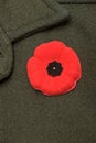 Remembrance Day Royalty Free Stock Photo