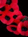 Remembrance Day