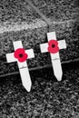 Remembrance Day Royalty Free Stock Photo