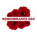 Remembrance Day, Anzac Day, Veterans Day Background with Poppies. Lest We Forget.