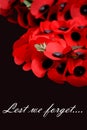 Remembrance Day Armistice Poppy Wreath Scene Royalty Free Stock Photo
