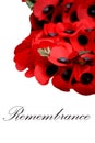 Remembrance Day Armistice Poppy Wreath Scene Royalty Free Stock Photo