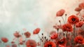 Remembrance Day background with red poppies and empty copy space for text. Veterans Day. Anzac day. Banner template Royalty Free Stock Photo