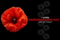 Remembrance day banner. Poppy flower on black background.