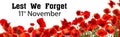 Remembrance day banner. Red poppy flowers and text Lest We Forget 11th November on white background Royalty Free Stock Photo