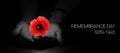 Remembrance Day Banner Template. Red Poppy over Burning Candle in the Human Hands.