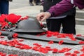 People putting poppy flowers on Tomb of the Unknown Soldier in Ottawa. Remembrance Day in Canada. Royalty Free Stock Photo