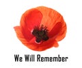 Remembrance day card. Red poppy flower and text We Will Remember on white background