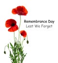 Remembrance day card. Red poppy flowers and text Lest We Forget on white background