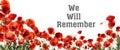 Remembrance day card. Red poppy flowers and text We Will Remember on white background Royalty Free Stock Photo