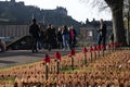 Remebrance sunday in Edinburgh princes gardens Royalty Free Stock Photo